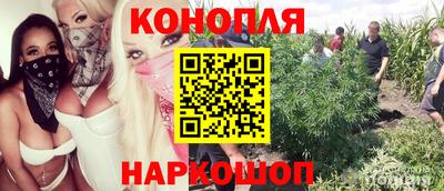 стаф Старая Купавна
