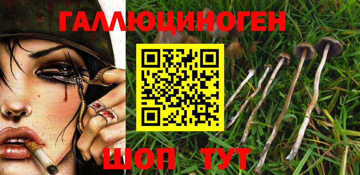Галлюциногенные грибы Psilocybine cubensis  Вход с VPN  Менделеевск 