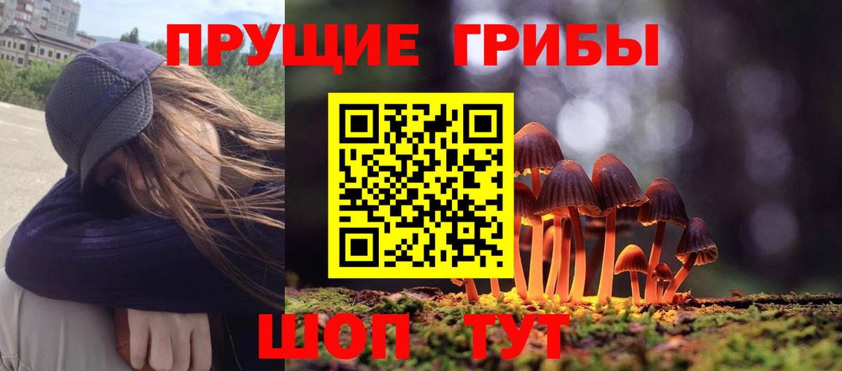 Галлюциногенные грибы Psilocybe Менделеевск